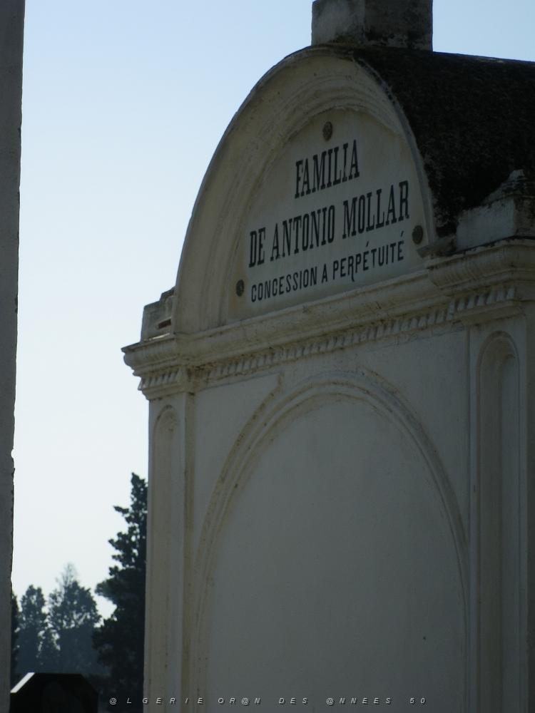 CIMETIERE DE TAMAZOUHET D ORAN EN MARS 2012  (8).JPG
